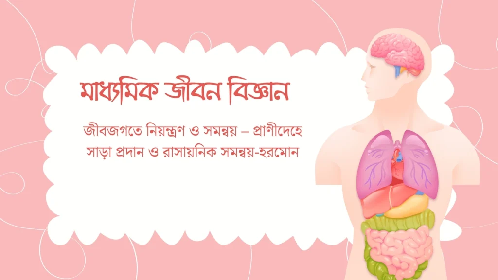 প্রাণীদেহে সাড়া প্রদান ও রাসায়নিক সমন্বয়-হরমোন