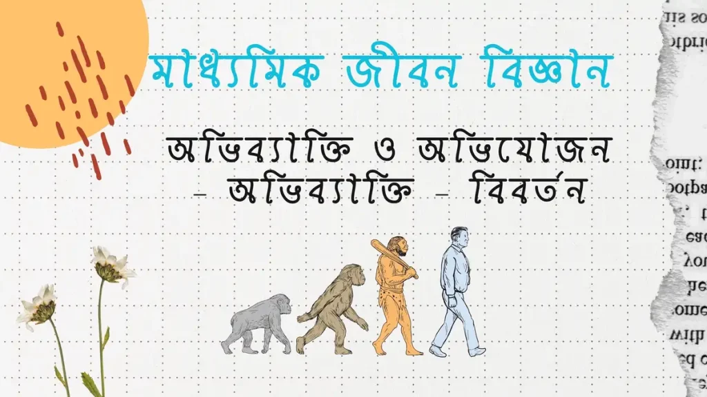 মাধ্যমিক-জীবন-বিজ্ঞান-–-অভিব্যাক্তি-ও-অভিযোজন-–-অভিব্যাক্তি-–-বিবর্তন-2