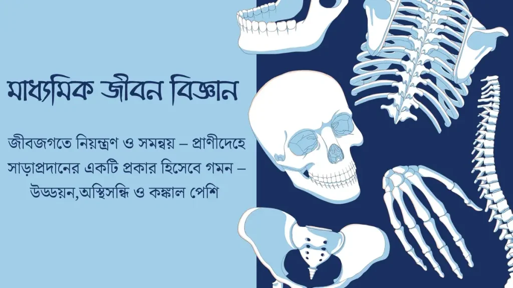 মাধ্যমিক জীবন বিজ্ঞান – জীবজগতে নিয়ন্ত্রণ ও সমন্বয় 1