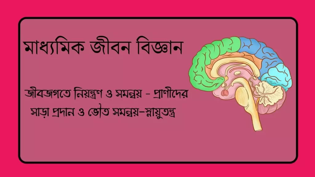 মাধ্যমিক জীবন বিজ্ঞান – জীবজগতে নিয়ন্ত্রণ ও সমন্বয়