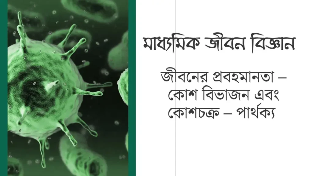 মাধ্যমিক জীবন বিজ্ঞান – জীবনের প্রবহমানতা – কোশ বিভাজন এবং কোশচক্র