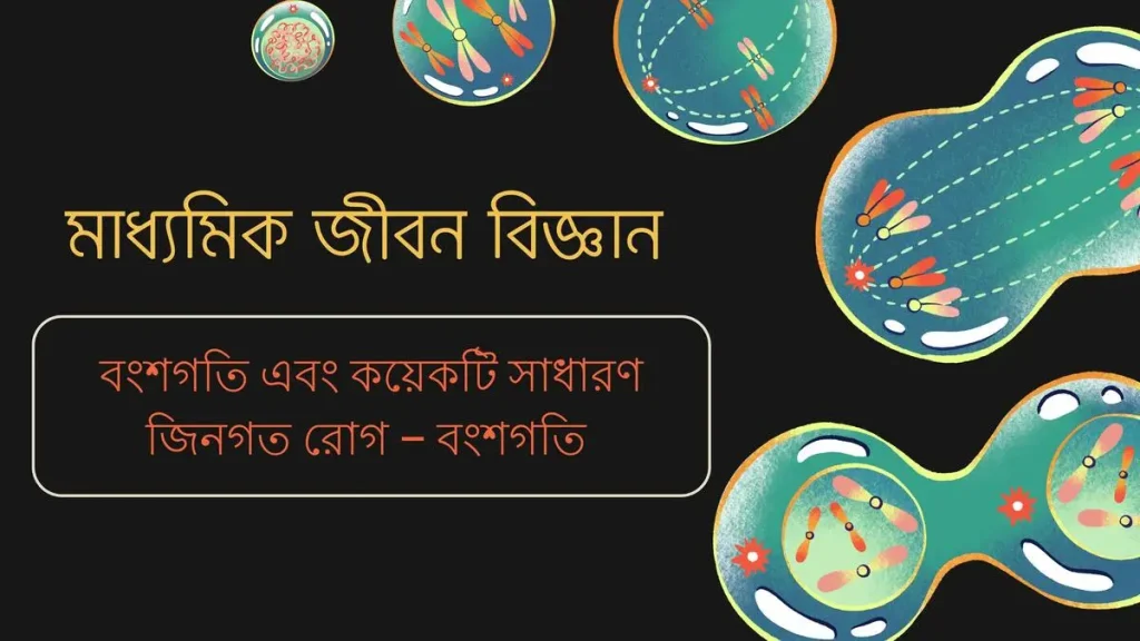 মাধ্যমিক জীবন বিজ্ঞান – বংশগতি এবং কয়েকটি সাধারণ জিনগত রোগ