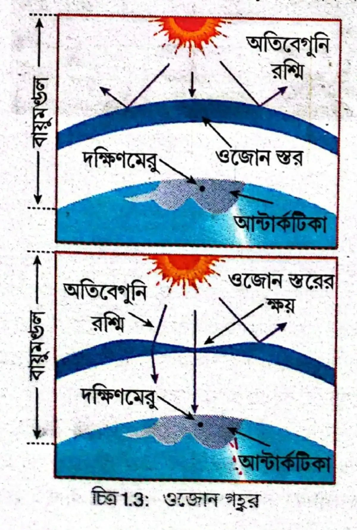 ওজন গহ্বর 