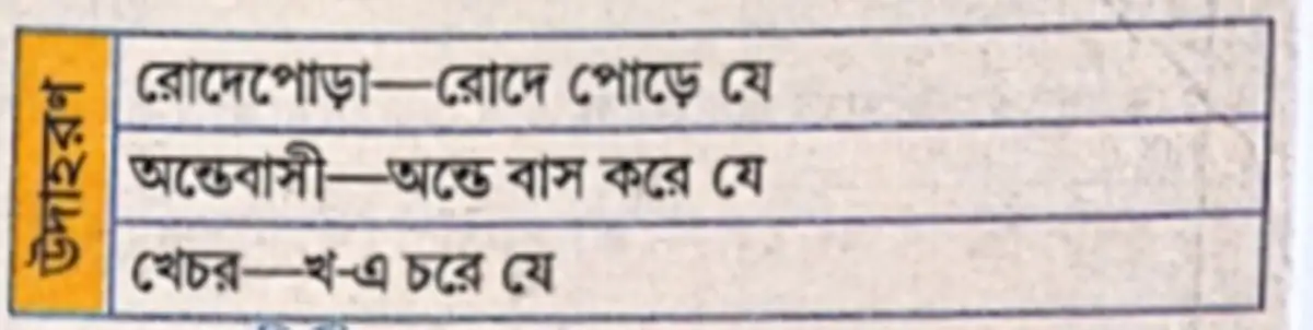 অলোপ উপপদ