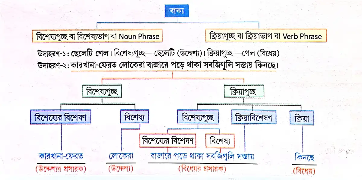 উদ্দেশ্য ও বিধেয়র সঙ্গে বিশেষ্যগুচ্ছ ও ক্রিয়াগুচ্ছের সম্পর্ক