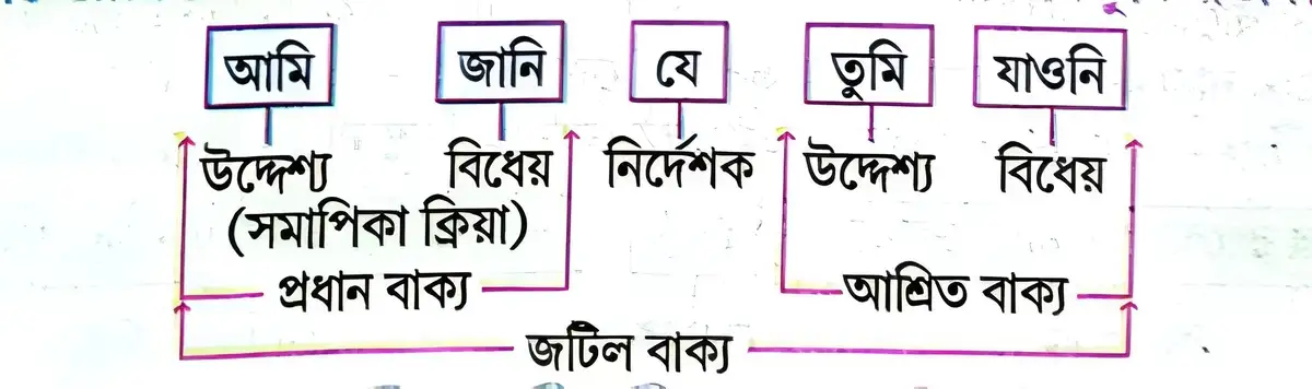 জটিল বাক্য