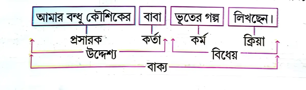 জটিল বাক্য