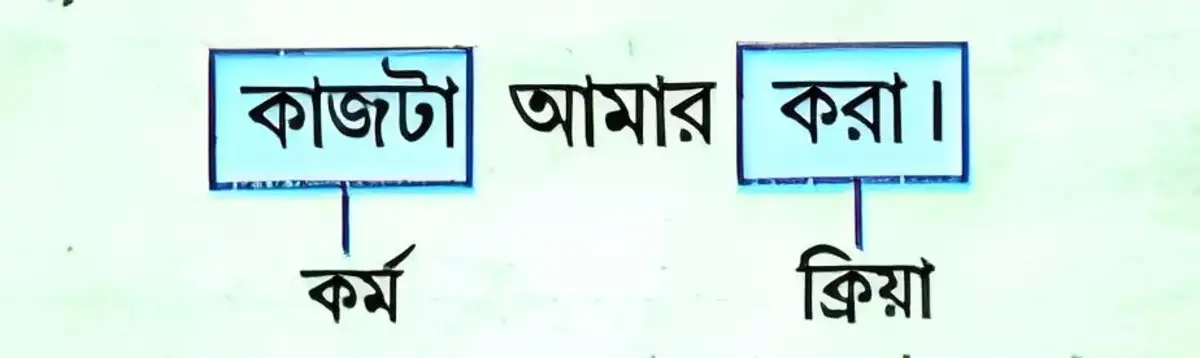 বাচ্য