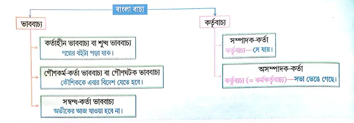 বাচ্য