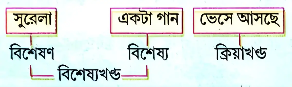 বিশেষণ ও বিশেষ্য