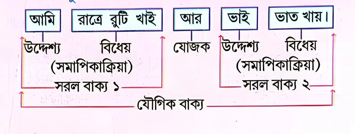 যৌগিক বাক্য