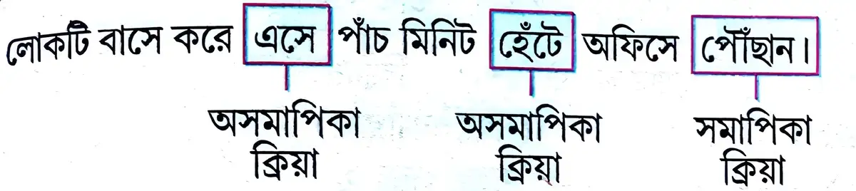 সরল বাক্য