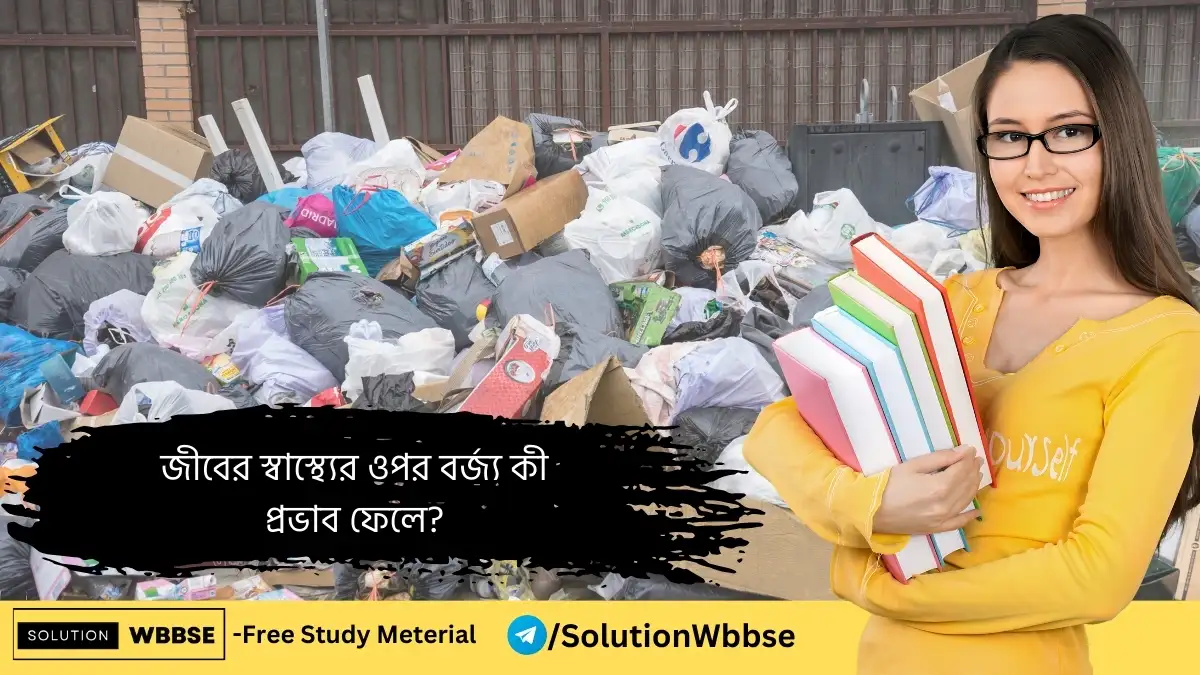 জীবের স্বাস্থ্যের ওপর বর্জ্য কী প্রভাব ফেলে? 1 জীবের স্বাস্থ্যের ওপর বর্জ্য কী প্রভাব ফেলে?