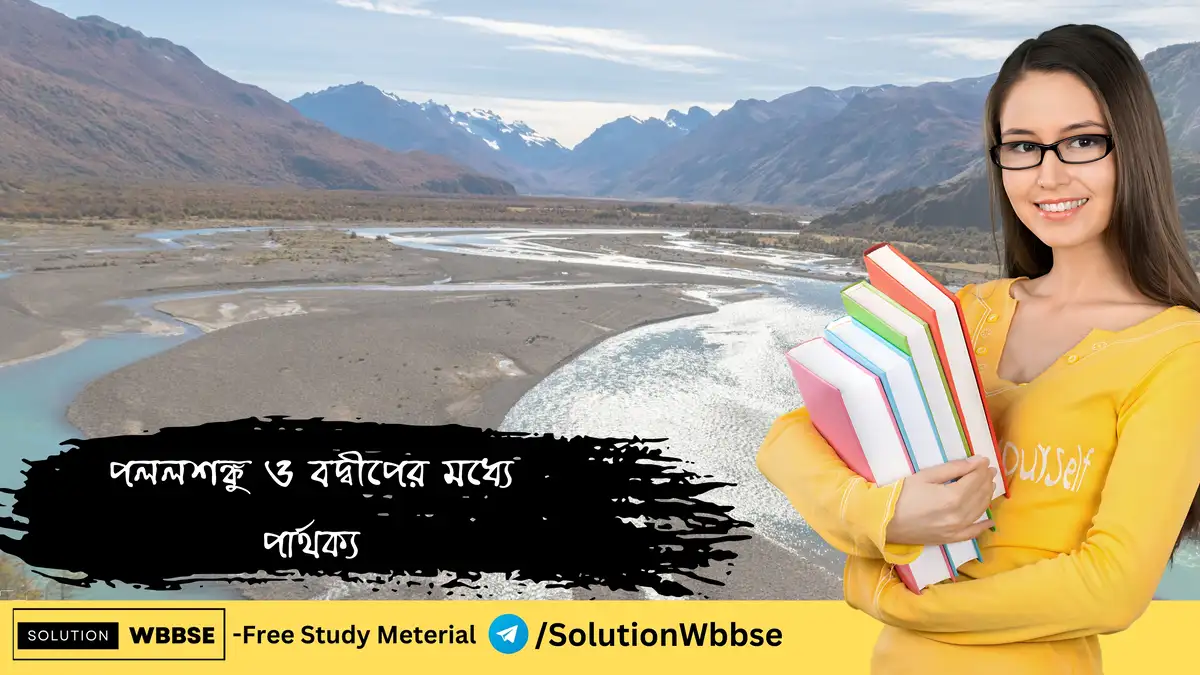 পললশঙ্কু ও বদ্বীপের মধ্যে পার্থক্য