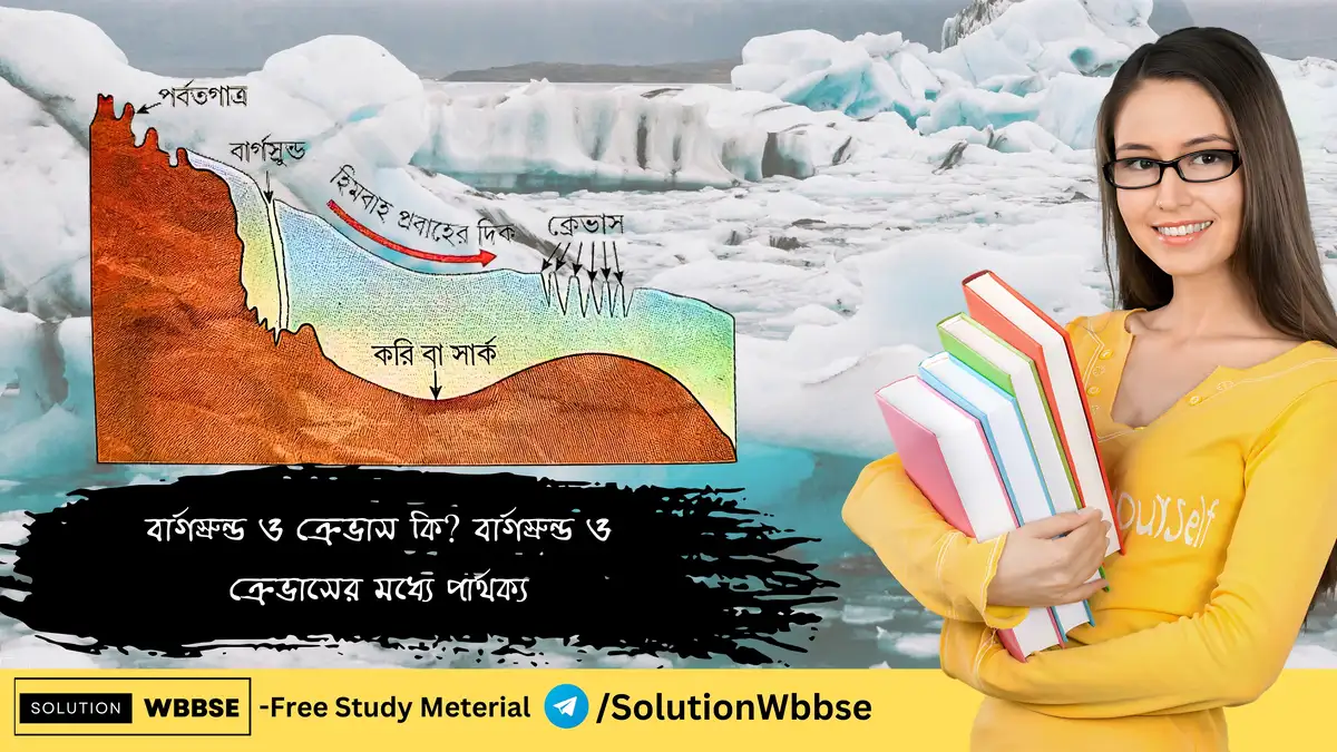 বার্গস্রুন্ড ও ক্রেভাস কি? বার্গস্রুন্ড ও ক্রেভাসের মধ্যে পার্থক্য