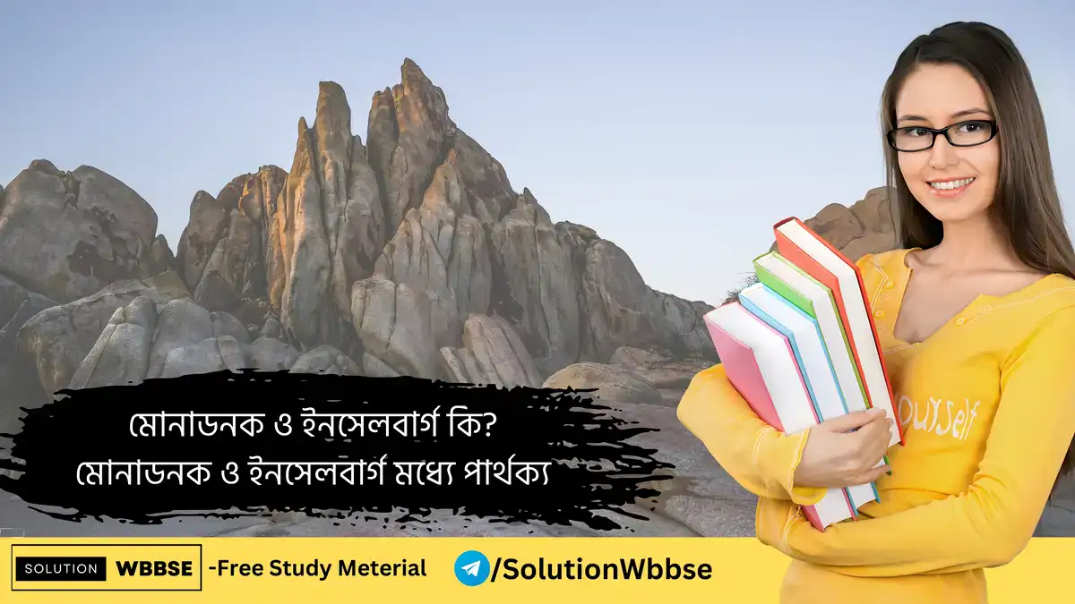 মোনাডনক ও ইনসেলবার্গ কি? মোনাডনক ও ইনসেলবার্গ মধ্যে পার্থক্য