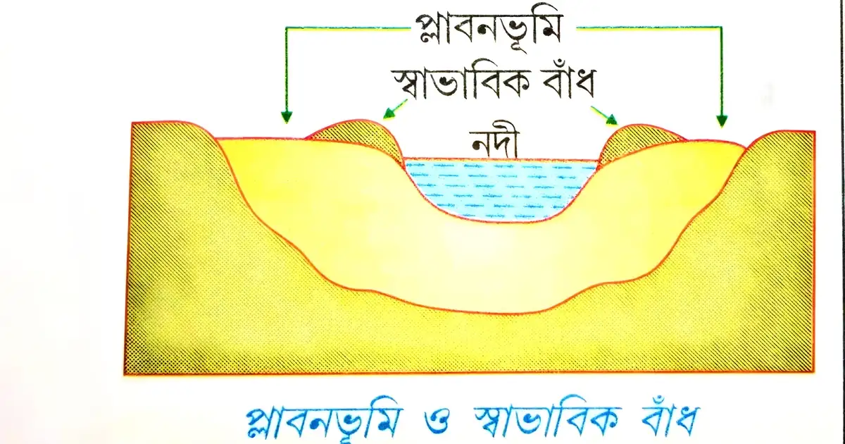 স্বাভাবিক বাঁধ কাকে বলে? 1 স্বাভাবিক বাঁধ
