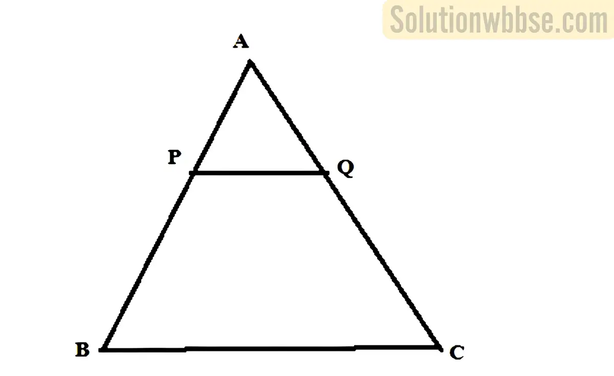 ABC-এর BC বাহুর সমান্তরাল সরলরেখা AB ও AC কে যথাক্রমে P ও Q বিন্দুতে ছেদ করে। যদি AP = 4 সেমি, QC = 9 সেমি এবং PB = AQ হয় তাহলে PB-এর দৈর্ঘ্য নির্ণয় করো।