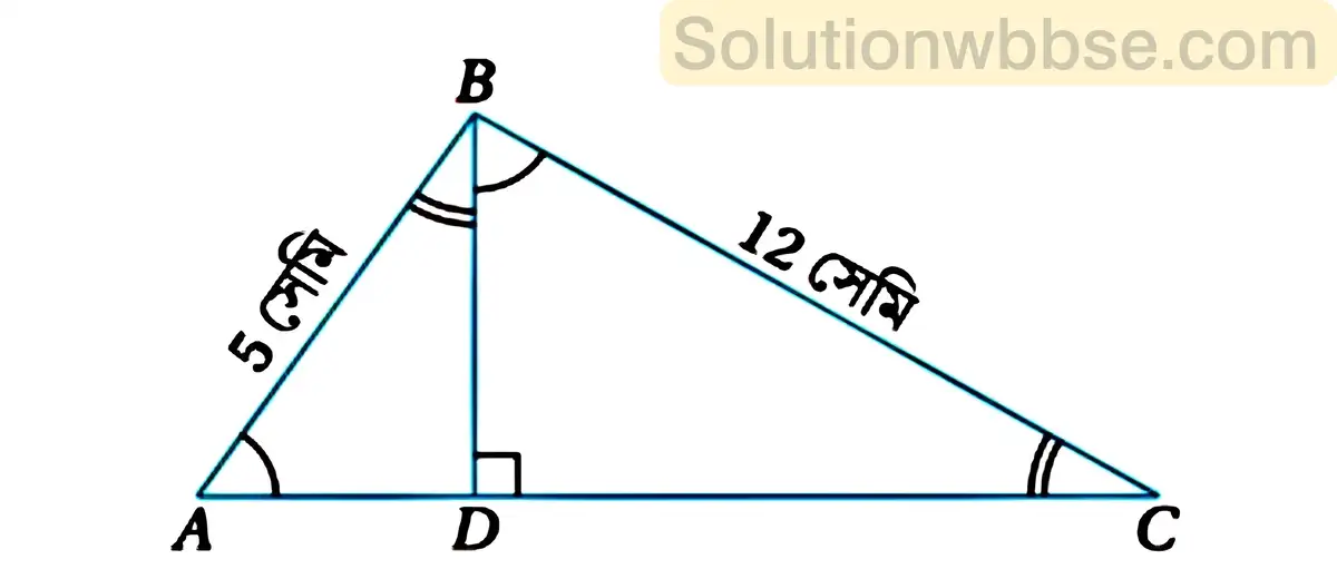 ABC সমকোণী ত্রিভুজ-2019 মাধমিক গণিত