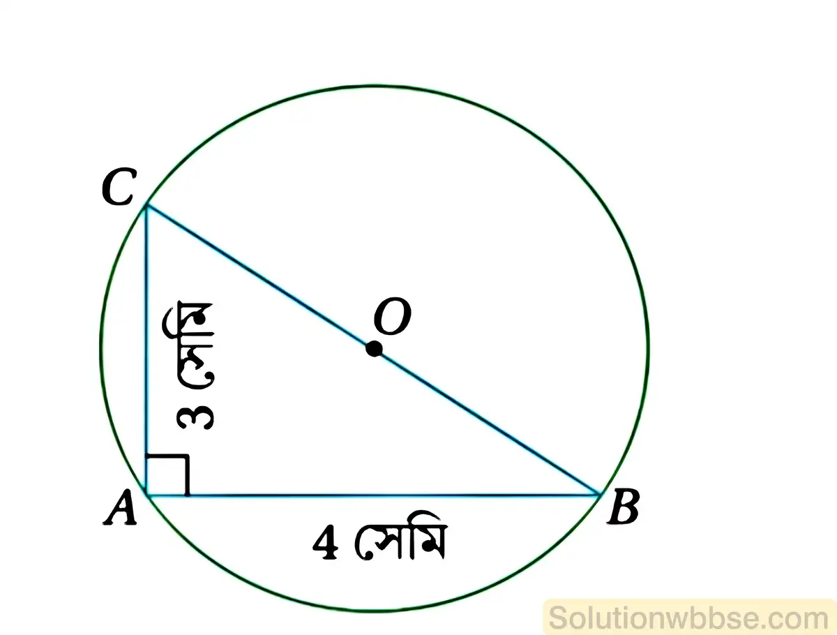 একটি বৃত্তে দুটি জ্যা AB এবং AC পরস্পর লম্ব-2019 মাধ্যমিক গণিত