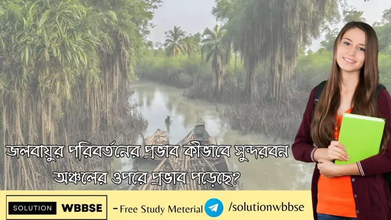 জলবায়ুর পরিবর্তনের প্রভাব কীভাবে সুন্দরবন অঞ্চলের ওপরে প্রভাব পড়েছে