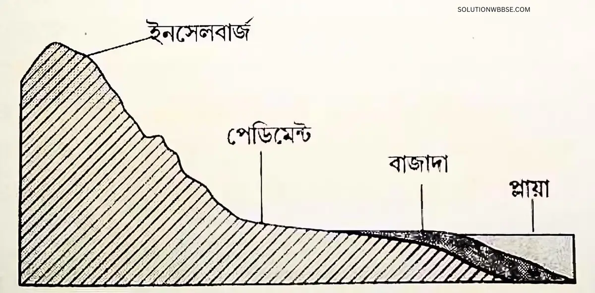 পেডিমেন্ট ও বাজাদার মধ্যে পার্থক্য