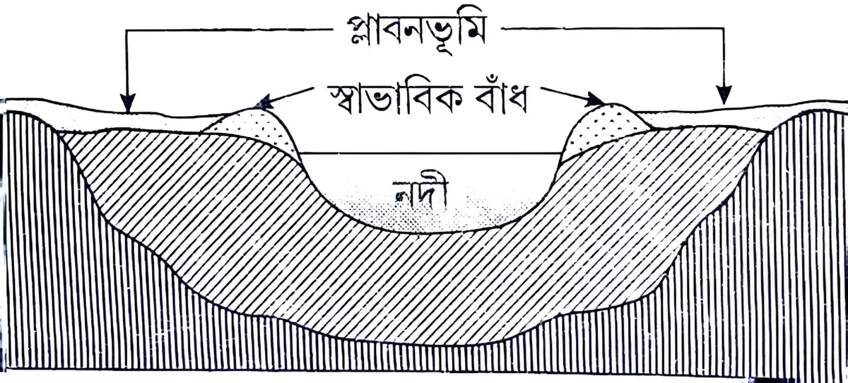 প্লাবনভূমি কাকে বলে? প্লাবনভূমি কীভাবে তৈরি হয়?