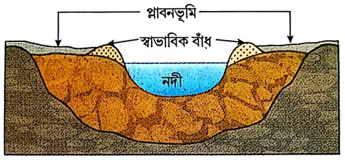 প্লাবনভূমি