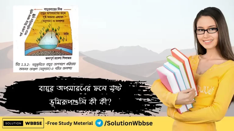 বায়ুর অপসারণের ফলে সৃষ্ট ভূমিরূপ