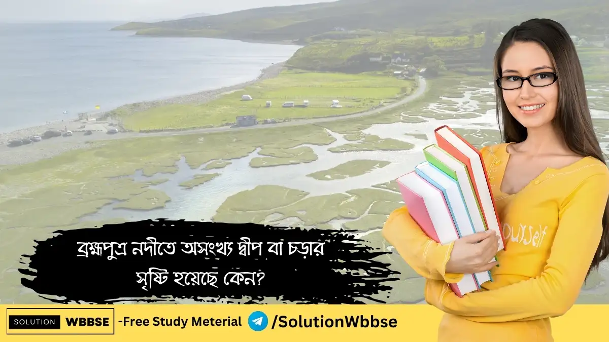 ব্রহ্মপুত্র নদীতে অসংখ্য দ্বীপ বা চড়ার সৃষ্টি হয়েছে কেন?