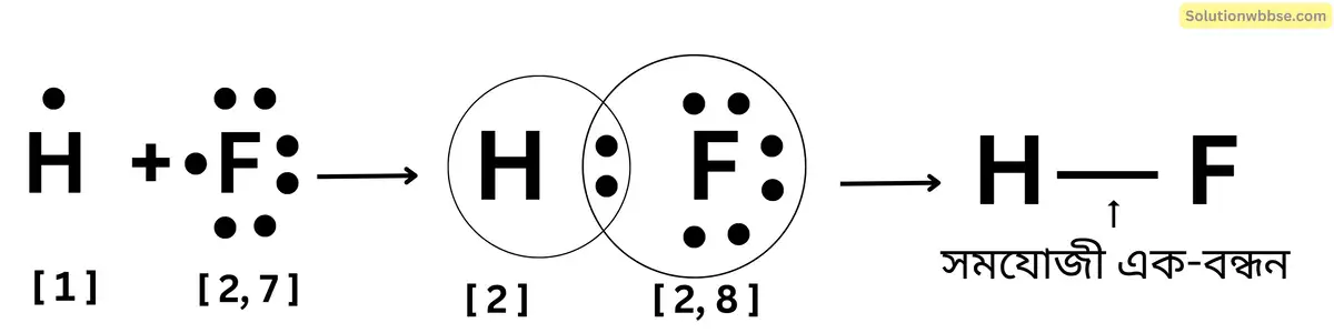 F আয়নীয় বন্ধন গঠন করে Na এর সঙ্গে, কিন্তু সমযোজী বন্ধন গঠন করে H এর সঙ্গে। (H, F ও Na এর পারমাণবিক সংখ্যা যথাক্রমে 1, 9 ও 11)