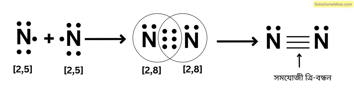 N2 অণুর লুইস ডট চিত্র অঙ্কন করো।