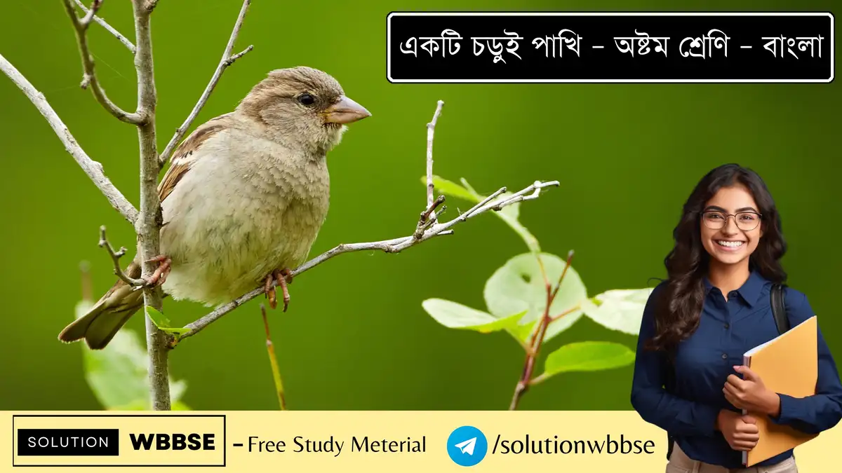 একটি চড়ুই পাখি – অষ্টম শ্রেণি – বাংলা – রচনাধর্মী প্রশ্ন ও উত্তর