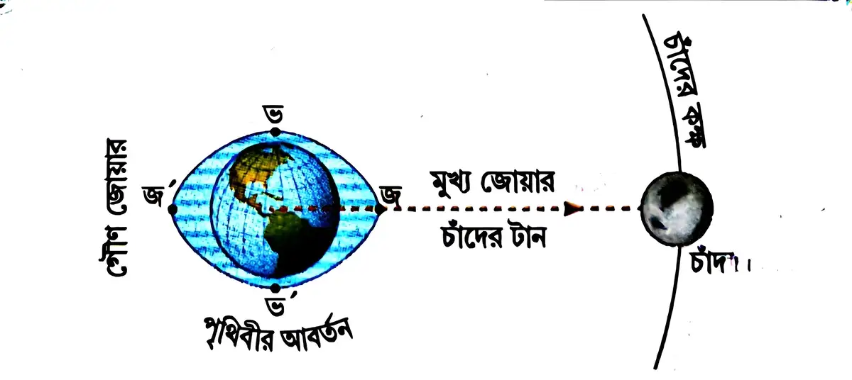 জোয়ার ভাটা সৃষ্টির কারণগুলি ব্যাখ্যা করো।