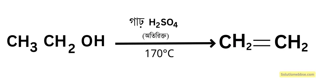 অথবা, কীভারে পরিবর্তিত করবে?
CH3 CH2 OH → CH2 = CH2
প্রকৃতিতে জৈব পলিমার প্রোটিনের বায়োডিগ্রেডেশন হয় কীভাবে?