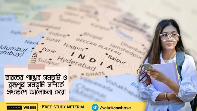 ভারতের পাঞ্জাব সমভূমি ও ব্রহ্মপুত্র সমভূমি সম্পর্কে সংক্ষেপে আলোচনা করো