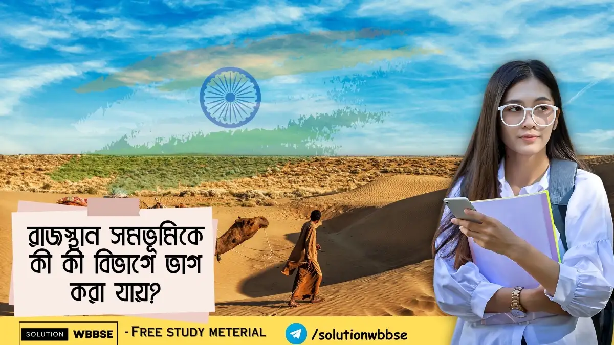 রাজস্থান সমভূমিকে কী কী বিভাগে ভাগ করা যায়?