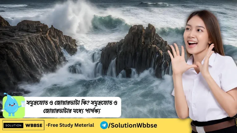 সমুদ্রস্রোত ও জোয়ারভাটা কি? সমুদ্রস্রোত ও জোয়ারভাটার মধ্যে পার্থক্য