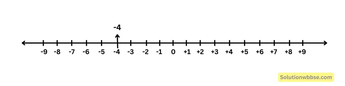মূলদ সংখ্যাগুলি সংখ্যারেখায় স্থাপন-নবম শ্রেণী 