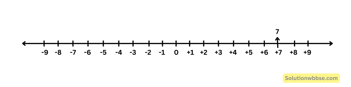 মূলদ সংখ্যাগুলি সংখ্যারেখায় স্থাপন-নবম শ্রেণী