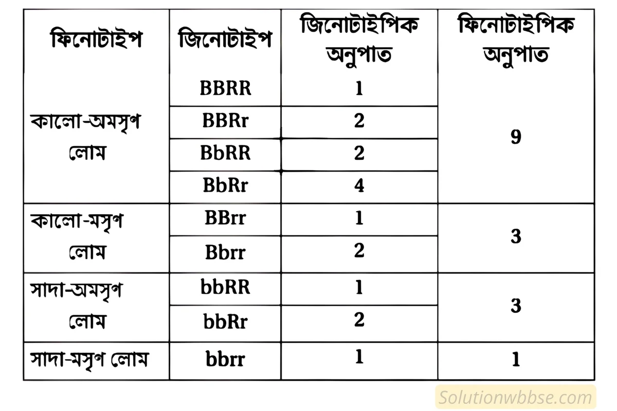 F2 জনুতে প্রাপ্ত  গিনিপিগের বৈশিষ্ট