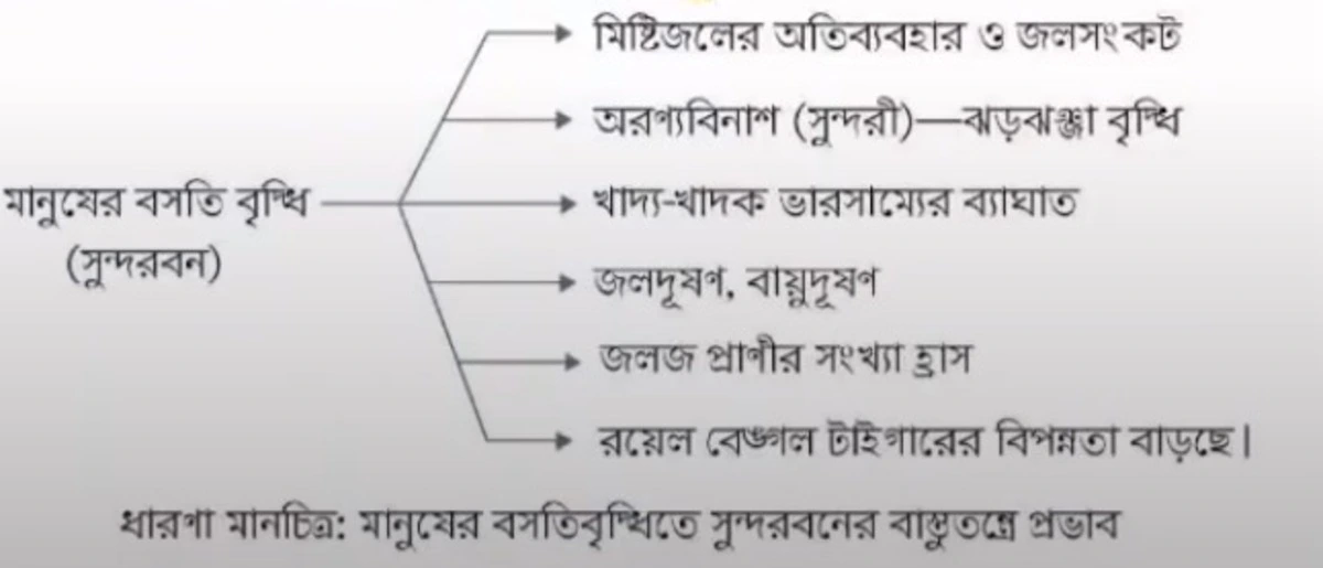 সুন্দরবনের বাস্তুতন্ত্রের ওপর  মানুষের বসতি বৃদ্ধির প্রভাব