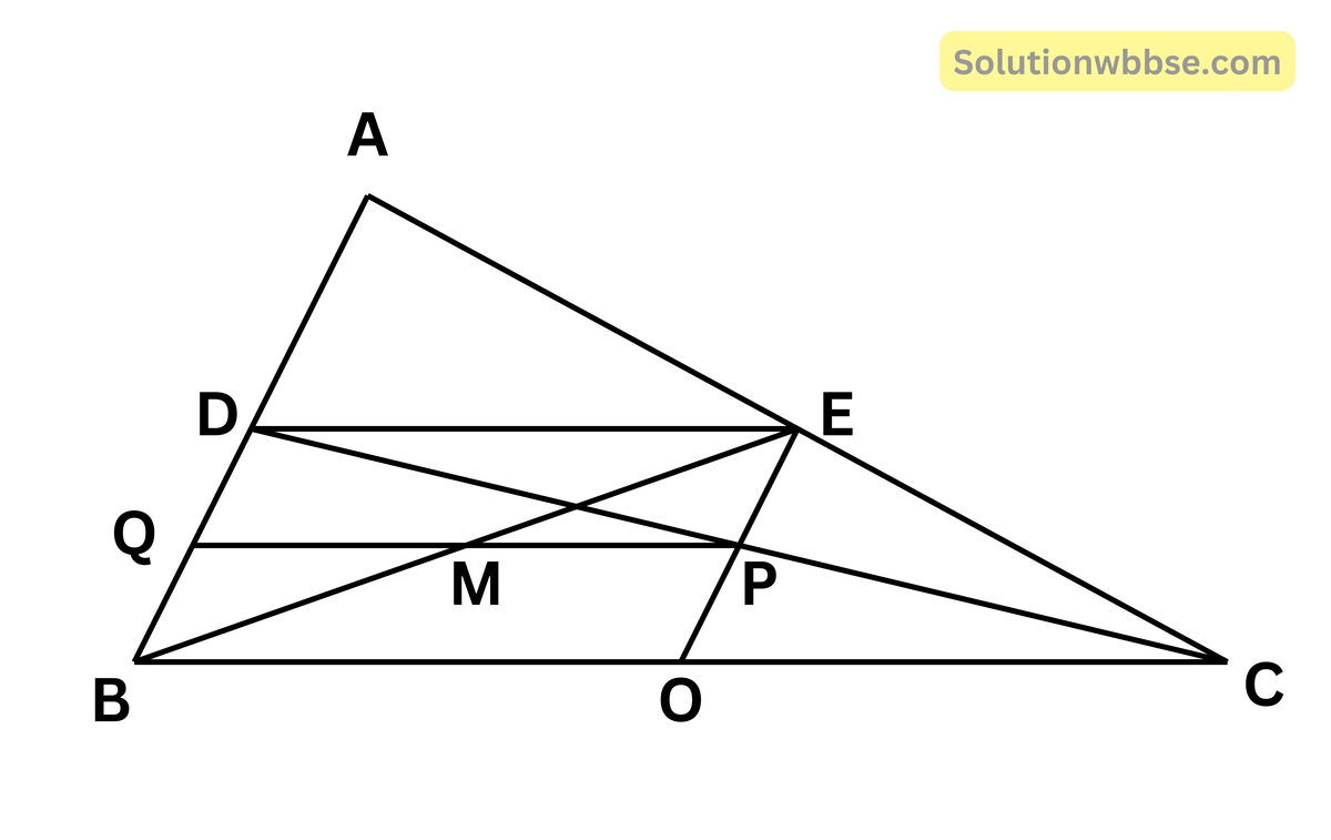 ABC ত্রিভুজের AB এবং AC বাহুর মধ্যবিন্দু যথাক্রমে D এবং E; P এবং Q যথাক্রমে CD ও BD -এর মধ্যবিন্দু। প্রমাণ করি যে, BE এবং PQ পরস্পরকে সমদ্বিখণ্ডিত করে।