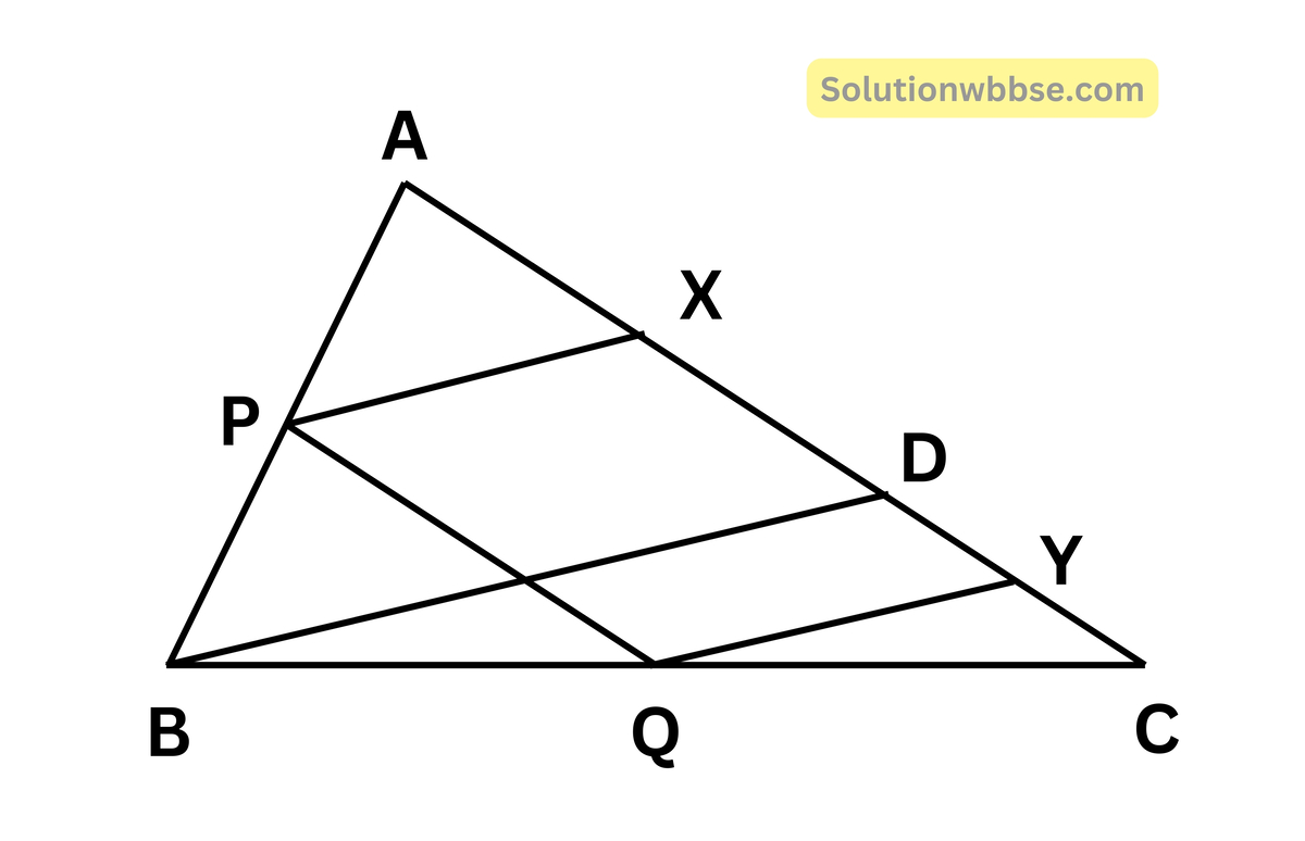 ABC ত্রিভুজের AC বাহুর উপর D যে-কোনো একটি বিন্দু। P, Q, X, Y, যথাক্রমে AB, BC, AD এবং DC -এর মধ্যবিন্দু। PX = 5 সেমি. হলে QY -এর দৈর্ঘ্য কত তা লিখি।