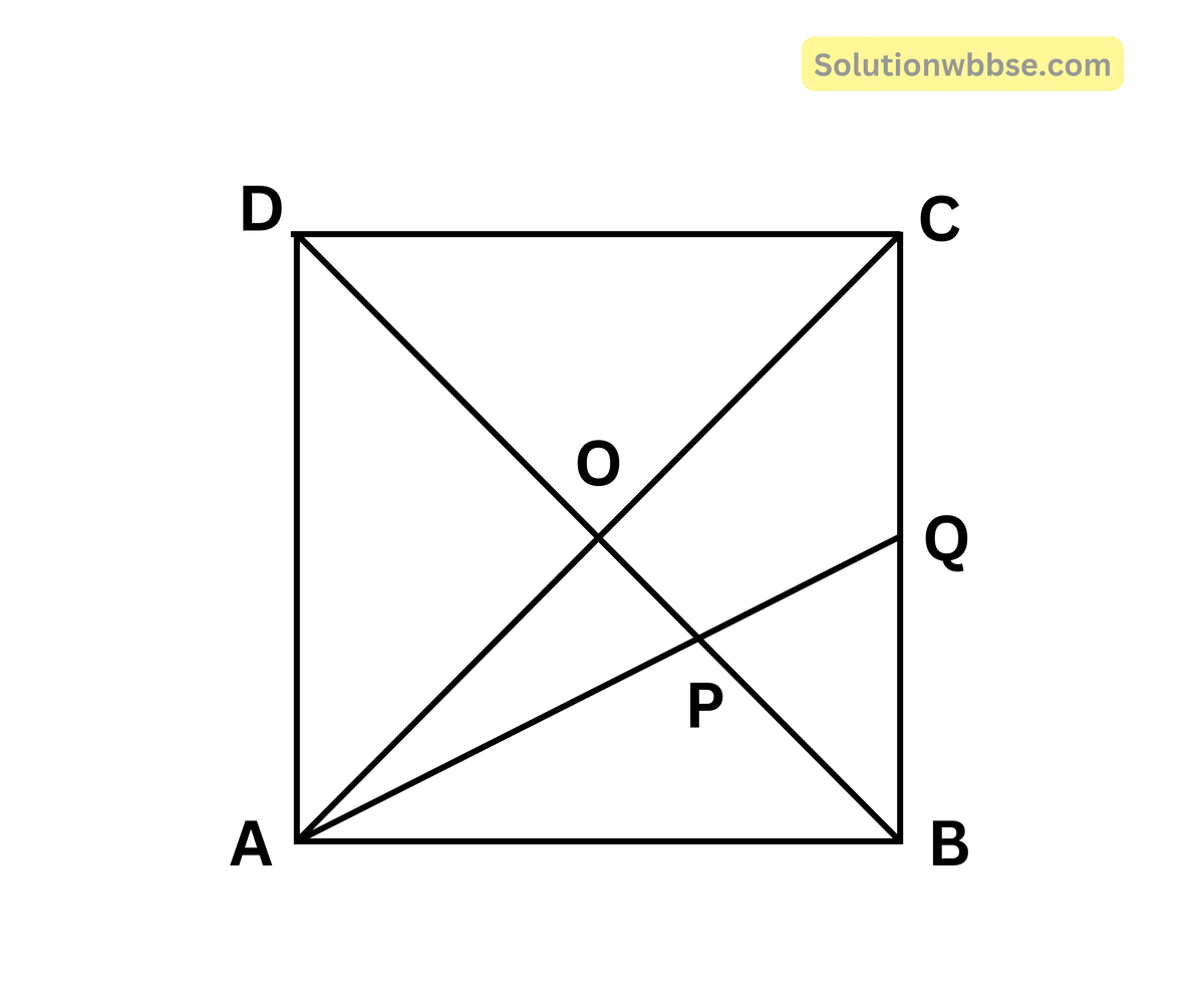 ABCD একটি বর্গাকার চিত্র। AC এবং BD কর্ণদ্বয় O বিন্দুতে ছেদ করে। ∠BAC-এর সমদ্বিখণ্ডক BO-কে P বিন্দুতে এবং BC -কে Q বিন্দুতে ছেদ করে।