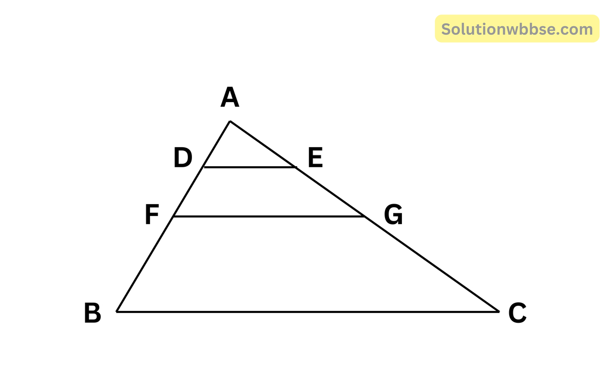 D এবং E যথাক্রমে ABC ত্রিভুজের উপর এমনভাবে অবস্থিত - নবম শ্রেণী - গণিত
