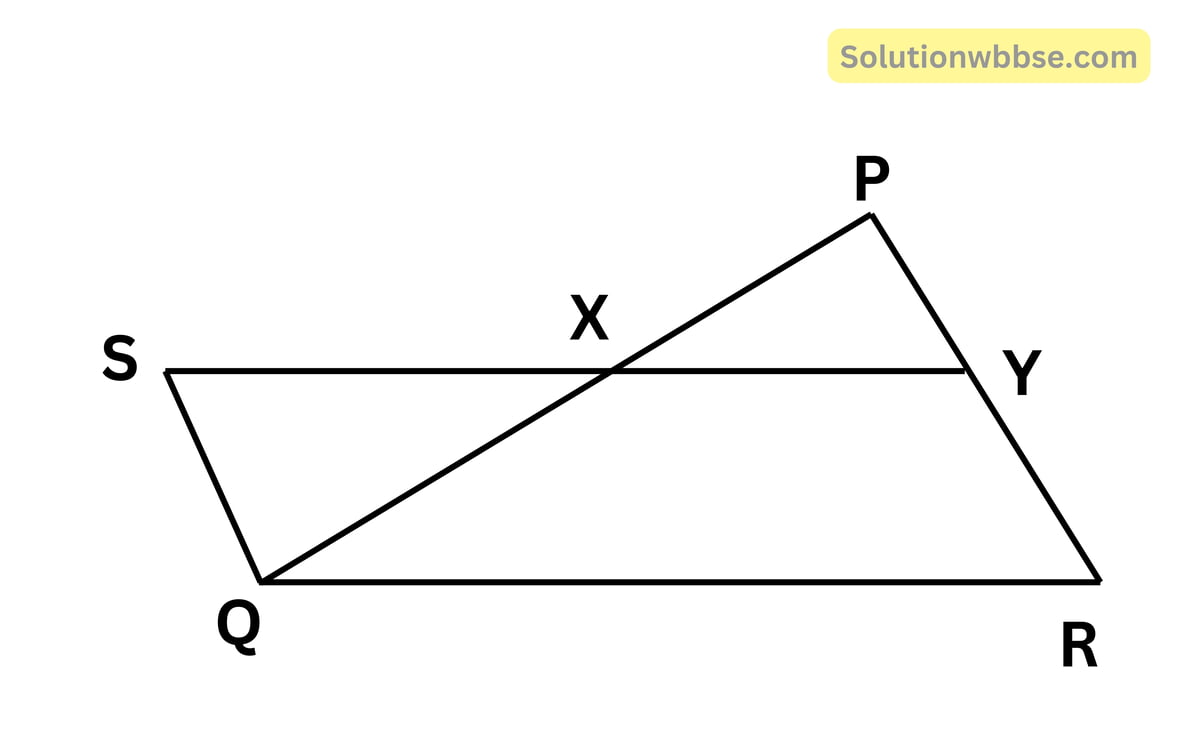 PQR ত্রিভুজের PQ এবং PR -বাহু দুটির মধ্যবিন্দু যথাক্রমে X এবং Y; X, Y বিন্দু দুটি যোগ করলাম। আমি যুক্তি দিয়ে প্রমাণ করি যে, XY || QR