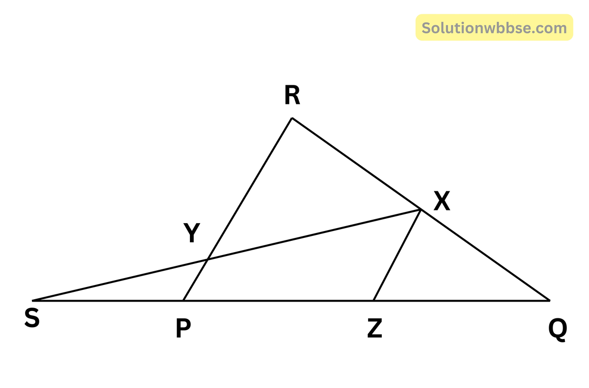 X এবং Z যথাক্রমে PQR ত্রিভুজের QR এবং QP বাহুর মধ্যবিন্দু। QP বাহুকে S বিন্দু পর্যন্ত এমনভাবে বর্ধিত করা হলো যাতে PS = ZP হয়। SX, PR বাহুকে Y বিন্দুতে ছেদ করে।