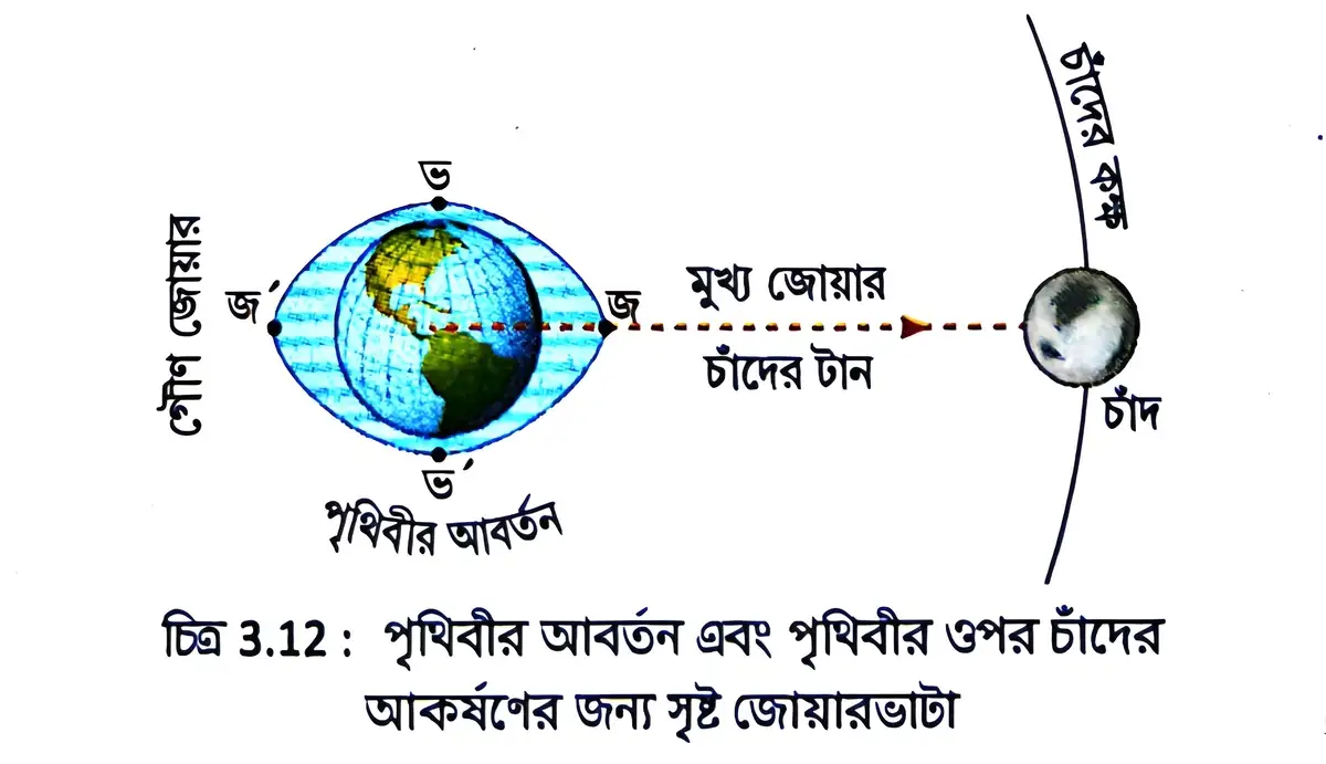 জোয়ারভাটা সৃষ্টির কারণ কী?