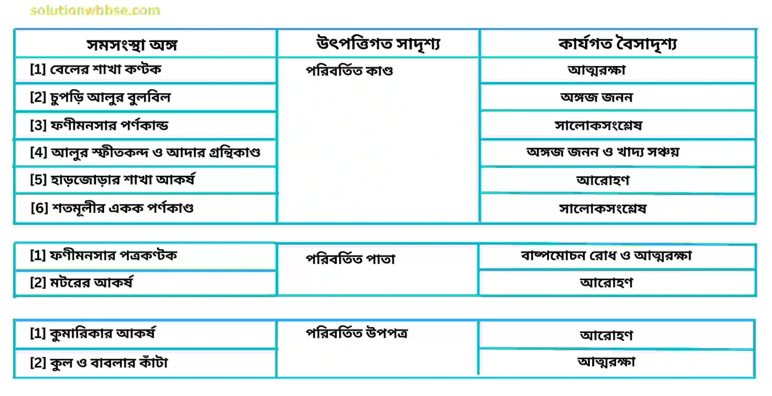 মাধ্যমিক জীবন বিজ্ঞান – অভিব্যক্তি ও অভিযোজন – অভিব্যক্তি – রচনাধর্মী প্রশ্নোত্তর 13 উদ্ভিদের ক্ষেত্রে সমসংস্থ অঙ্গ